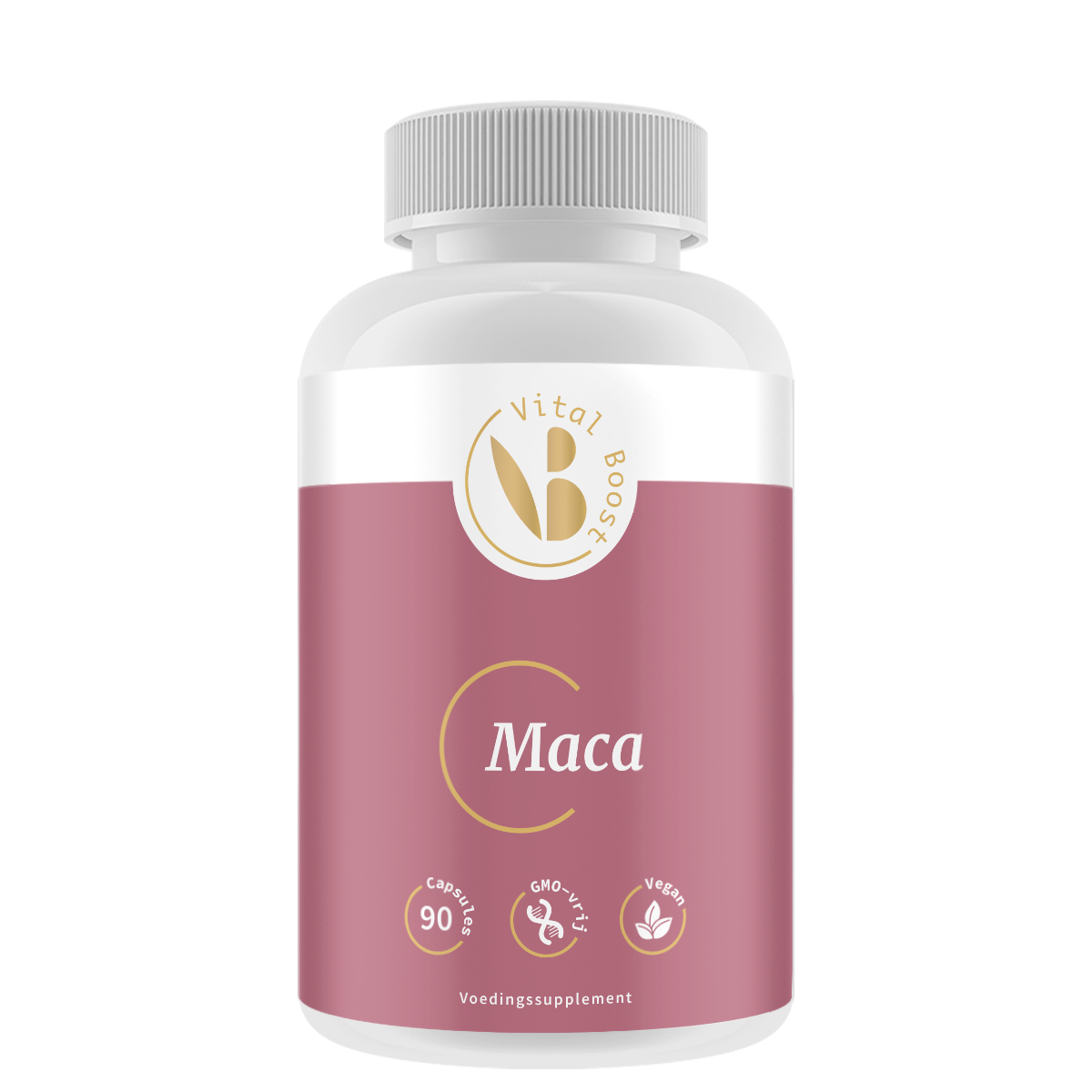 Maca
